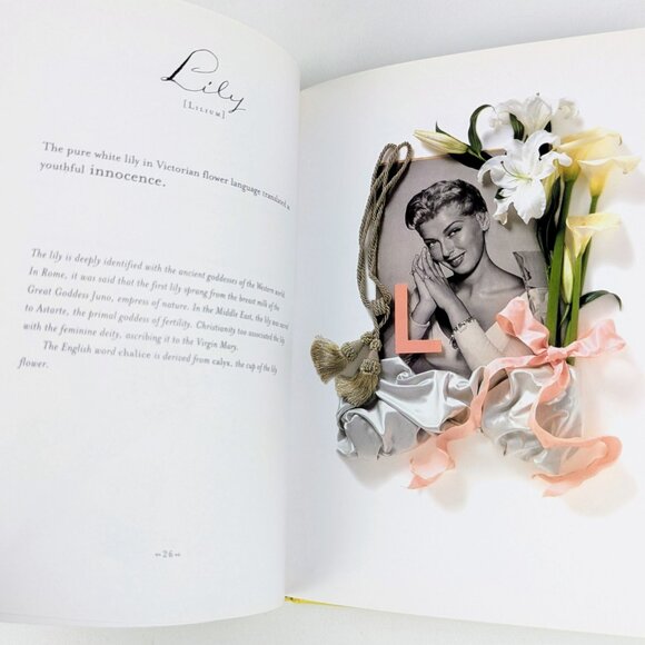 The Meaning of Flowers bright yellow book with Victorian floral illustrations - Picture 7 of 16